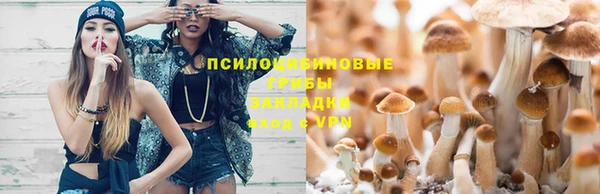 эйфоретик Алексеевка