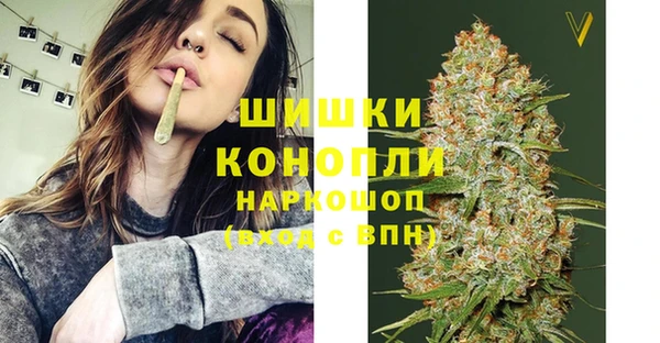 spice Алексин