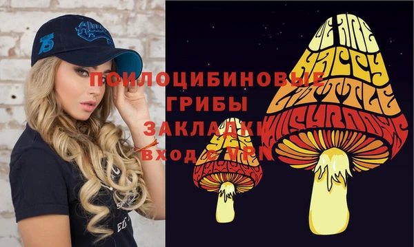 spice Алексин