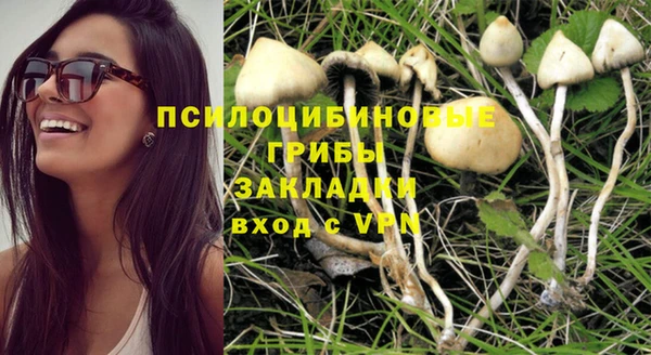 эйфоретик Алексеевка