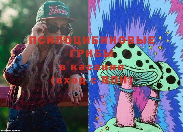spice Алексин